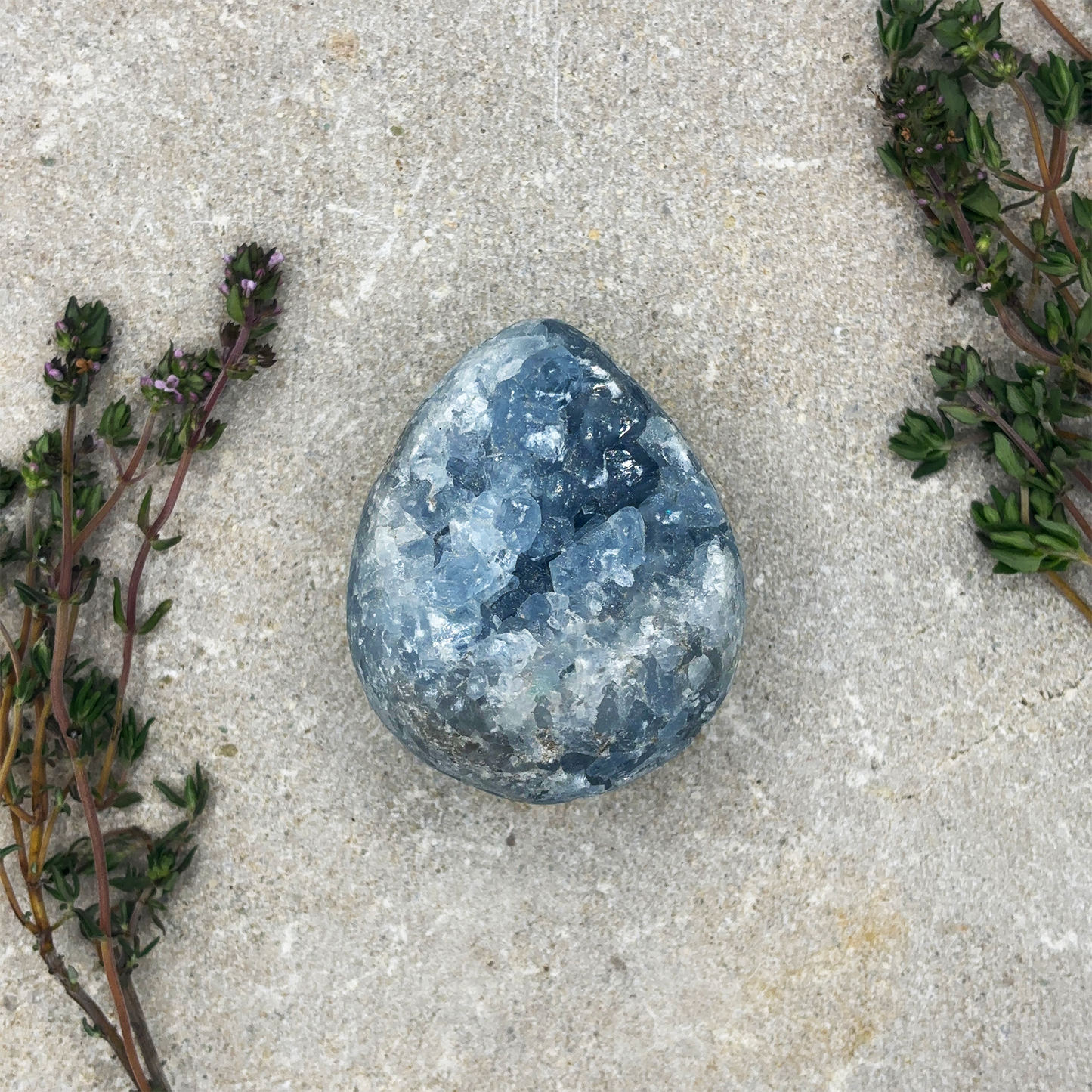 Raw Celestite Geode