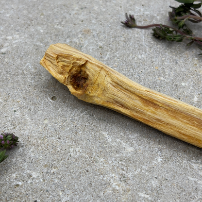 Palo Santo Stick