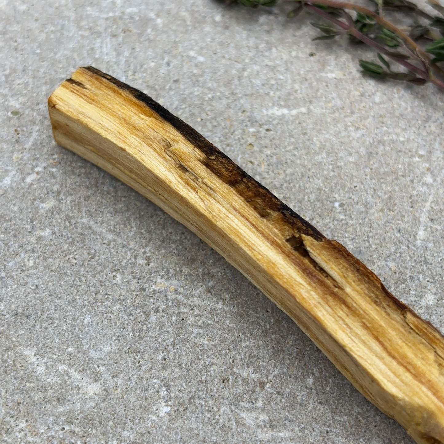 Palo Santo Stick